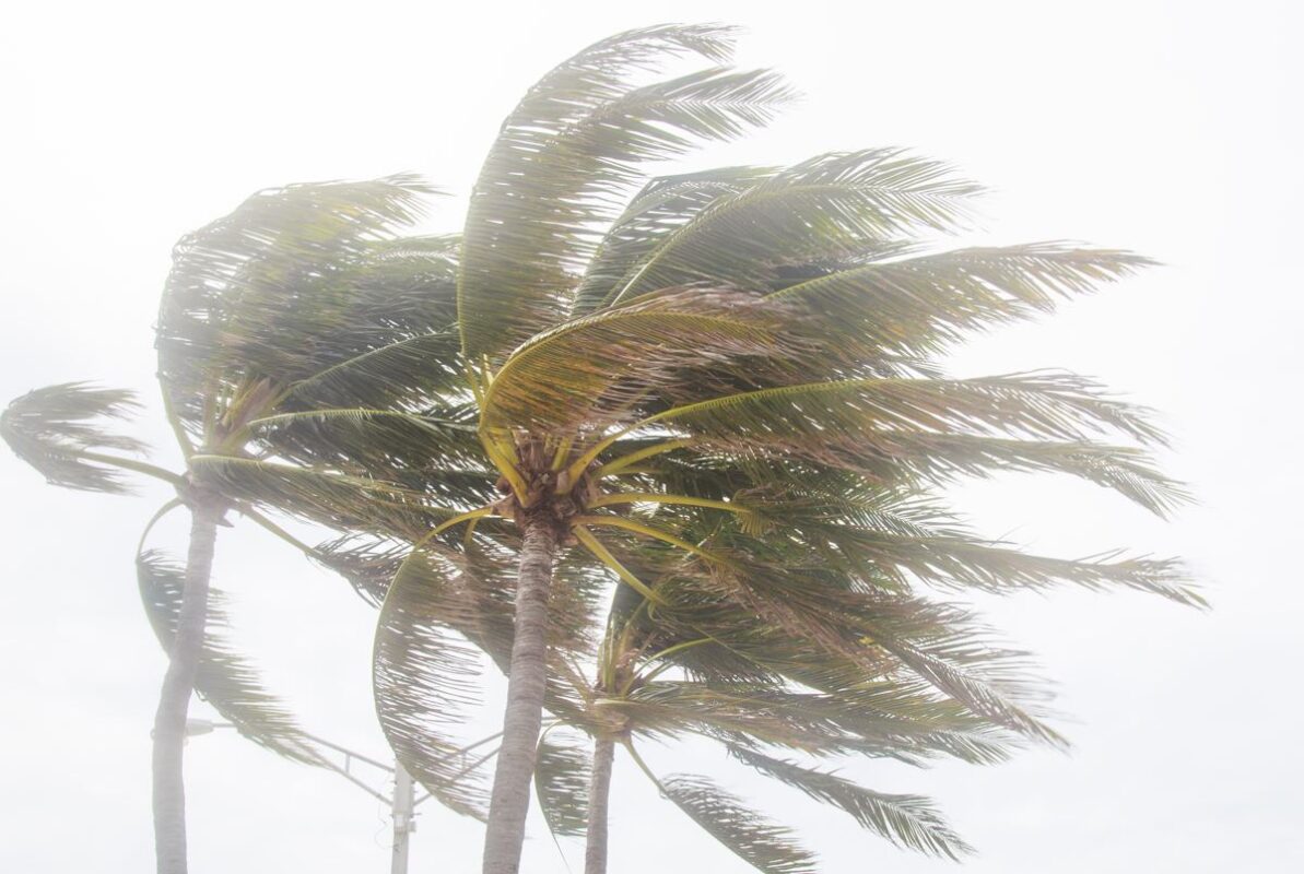Tropical Storm Warning Issued For Los Cabos Due To Hurricane Kay