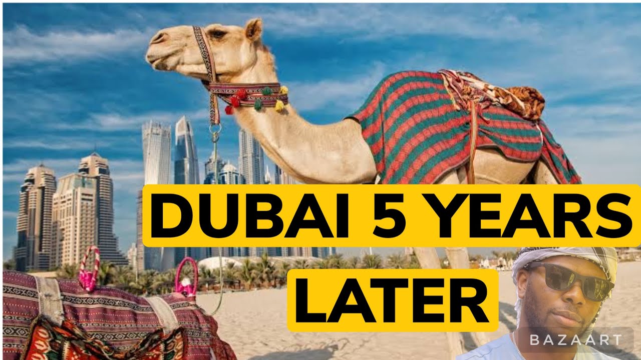 The city I have always wanted to live in - Dubai Travel Guide #dubai #uae #camel #desert #uae